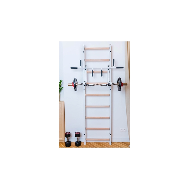 BenchK wall bars system 731W